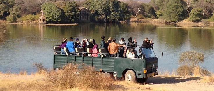 Wildlife Canter Safari Jim Corbett