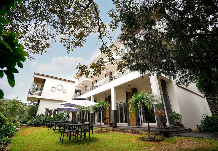 Royal Rosette Bhimtal