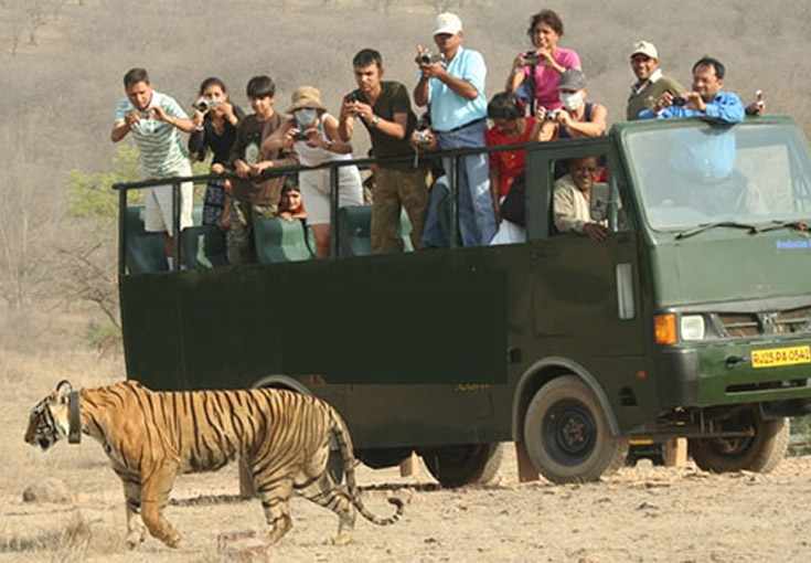 Corbett Fun Tour with Canter Safari