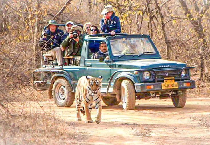 Corbett Holiday Tour with Gypsy Safari